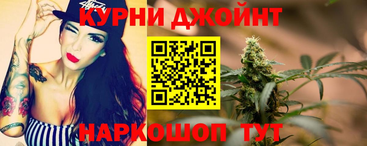 Конопля сатива Шахты